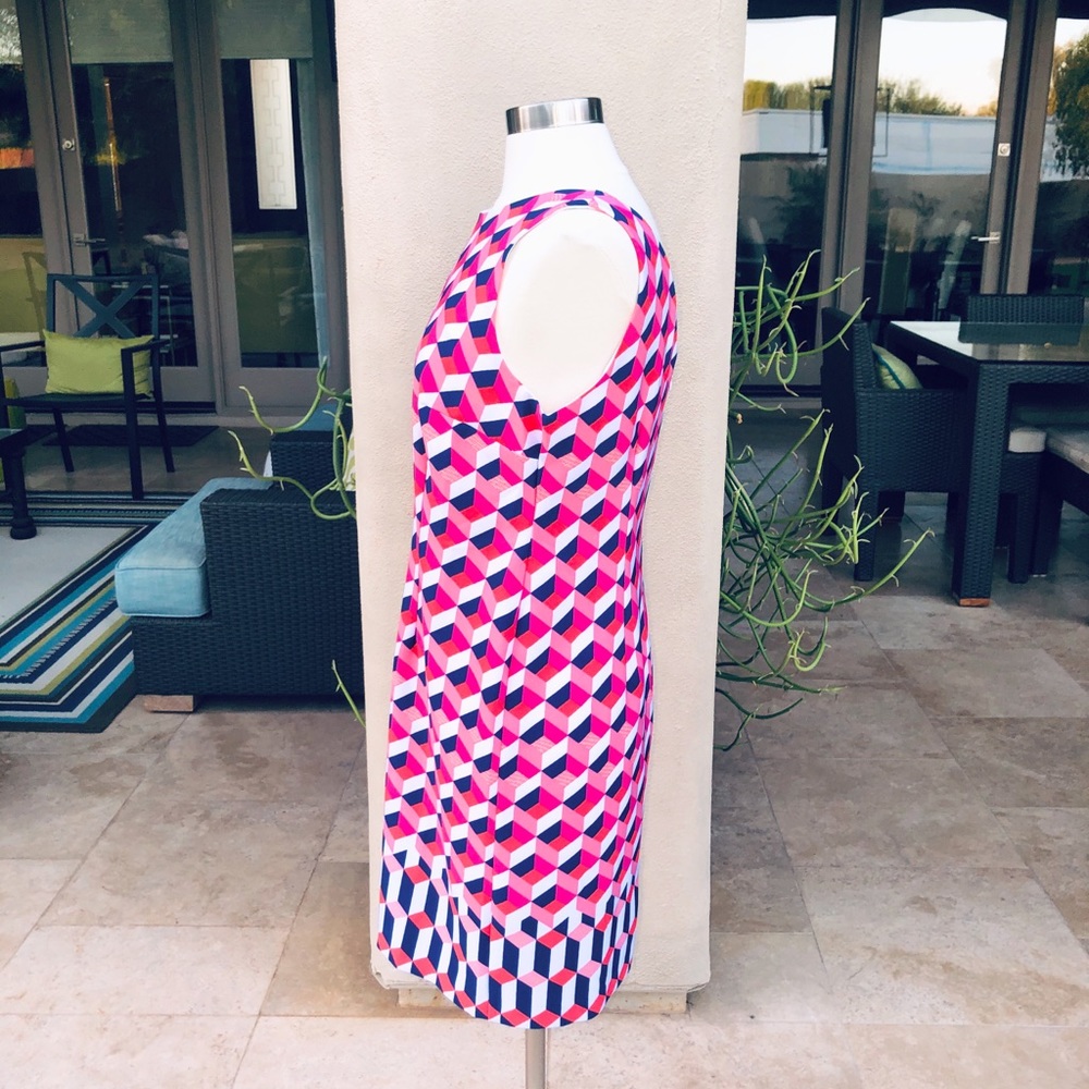 NWOT Amanda Lane Graphic Sleeveless Dress-10P 12P